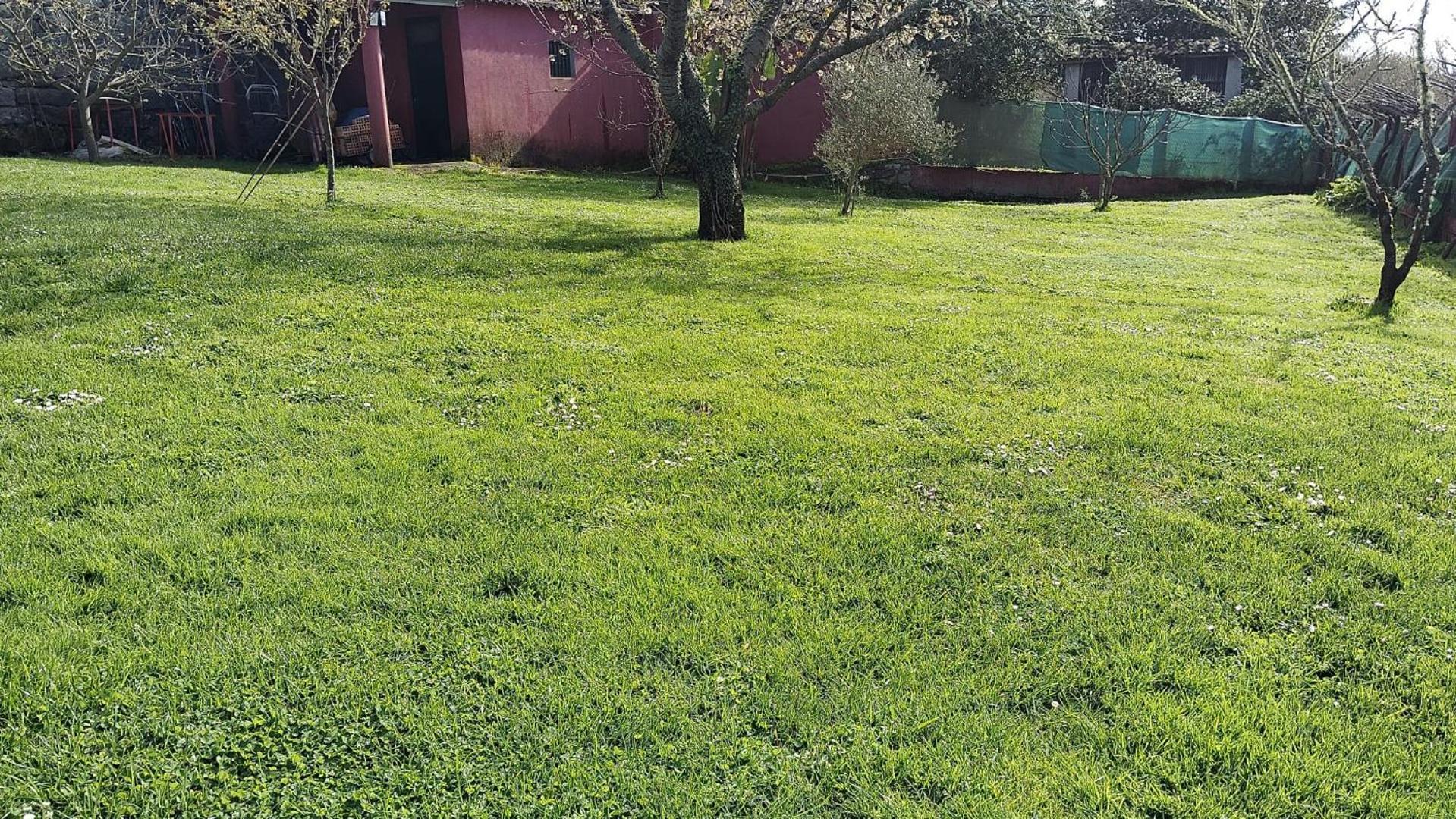 Alojamiento Entero Con Piscina Y Jardin. Ourense Buitenkant foto